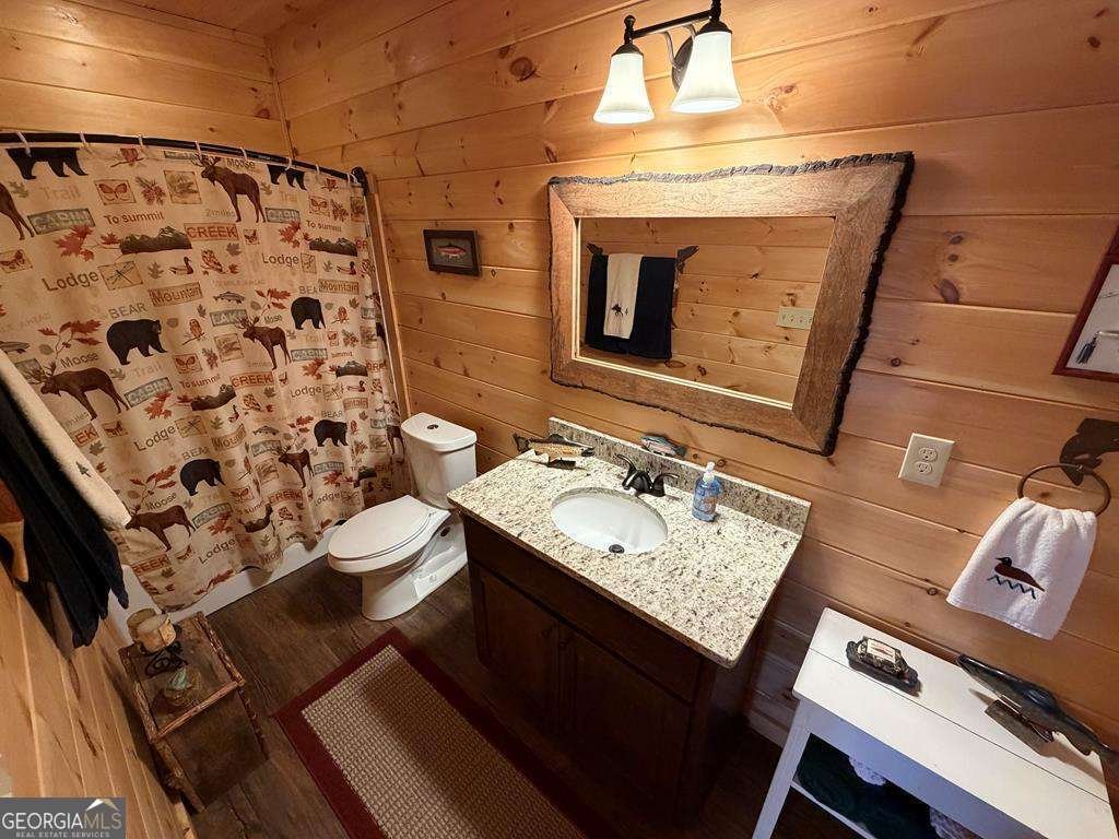 740 Highland Gap Mineral Bluff - Photo 51