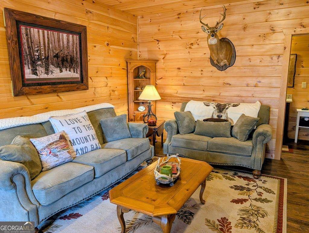 740 Highland Gap Mineral Bluff - Photo 53