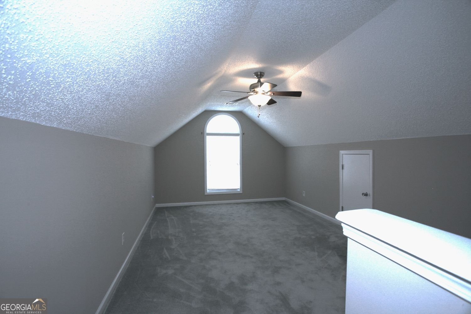 401 Gracious Way McDonough - Photo 25