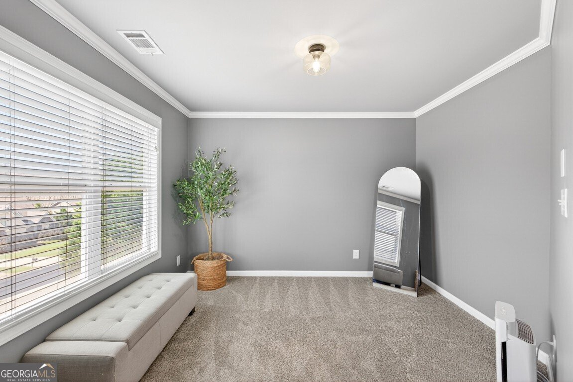 247 Dawson Manor Drive Dawsonville - Photo 33