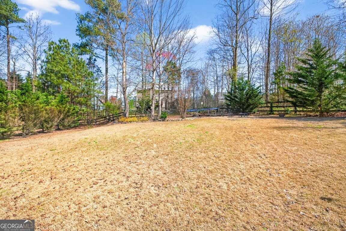 247 Dawson Manor Drive Dawsonville - Photo 45