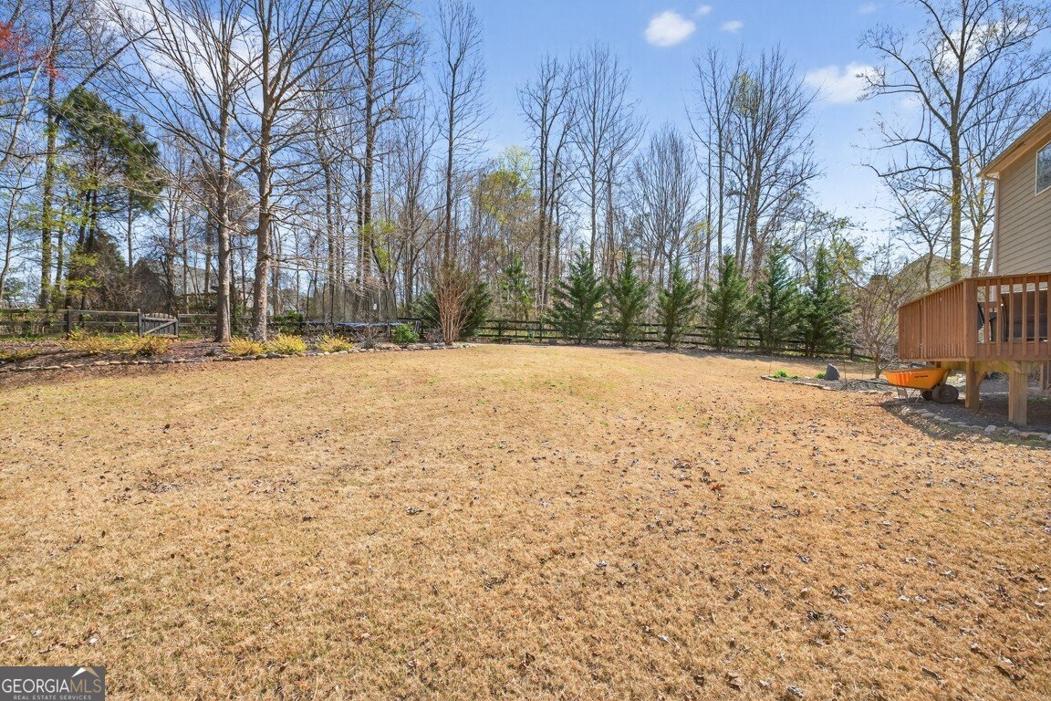 247 Dawson Manor Drive Dawsonville - Photo 47