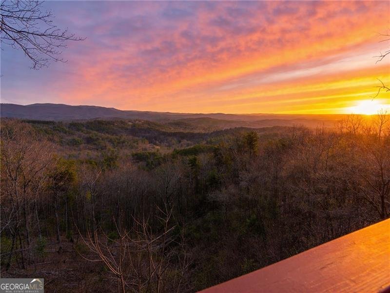 1015 Eagle Ridge Road Dawsonville - Photo 44