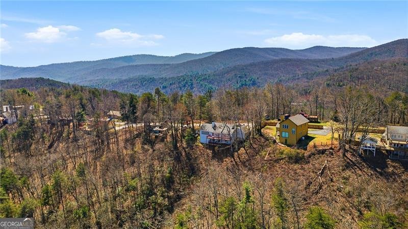 1015 Eagle Ridge Road Dawsonville - Photo 48