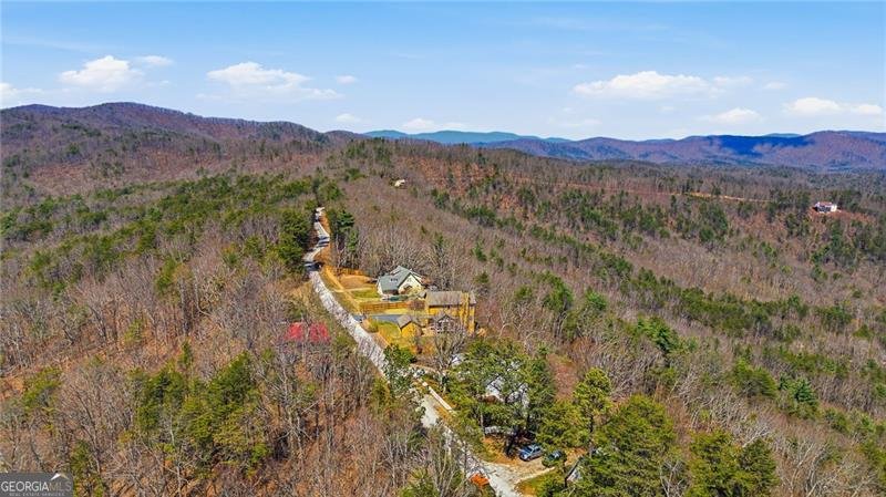 1015 Eagle Ridge Road Dawsonville - Photo 51