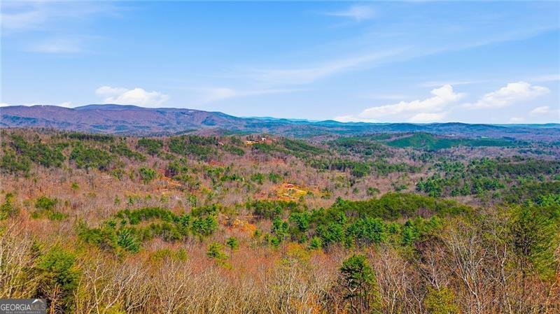 1015 Eagle Ridge Road Dawsonville - Photo 53