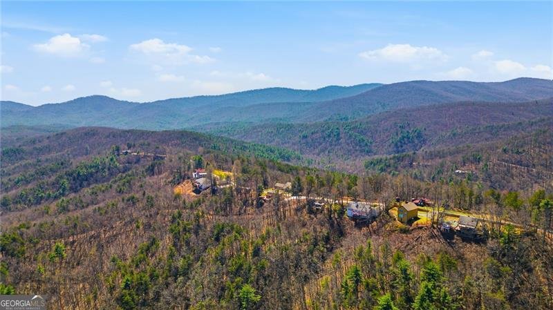 1015 Eagle Ridge Road Dawsonville - Photo 55