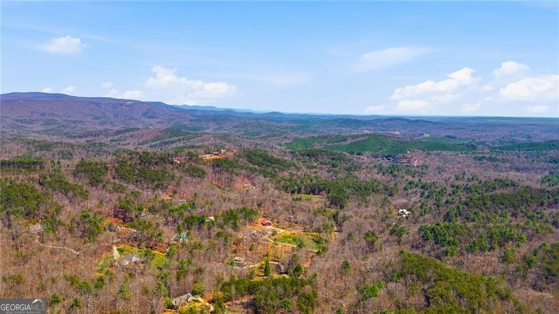 1015 Eagle Ridge Road Dawsonville - Photo 56