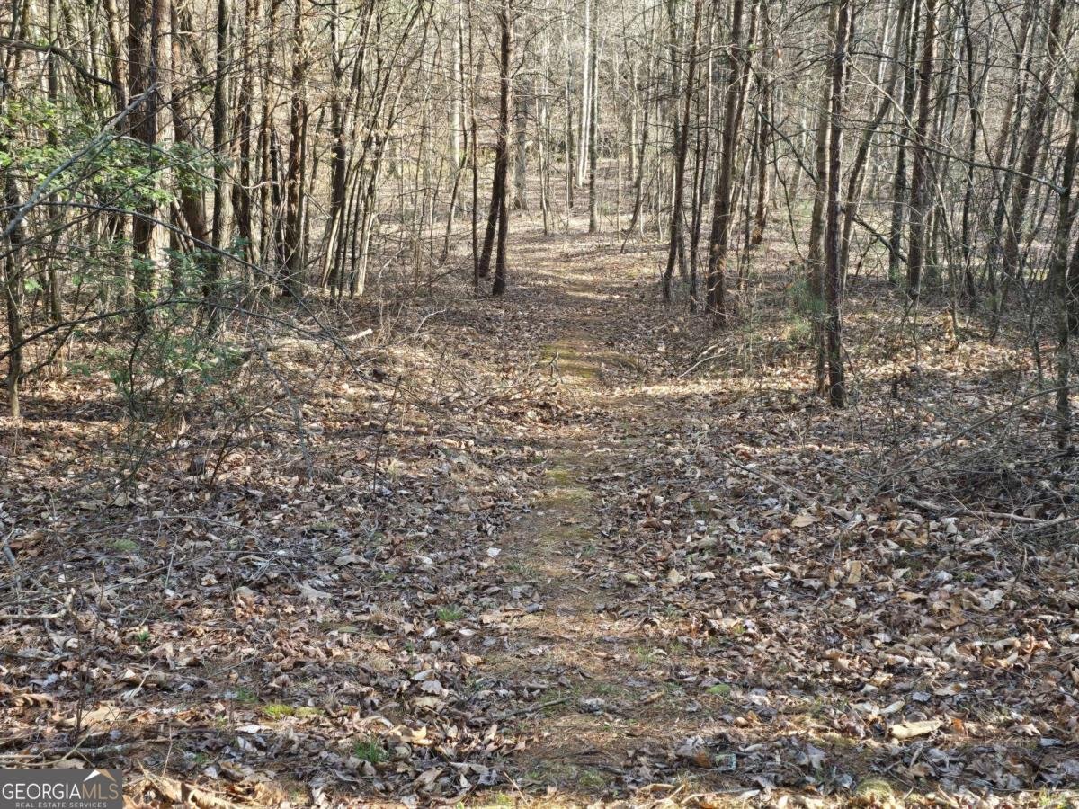 120 Claw Run Murphy - Photo 36