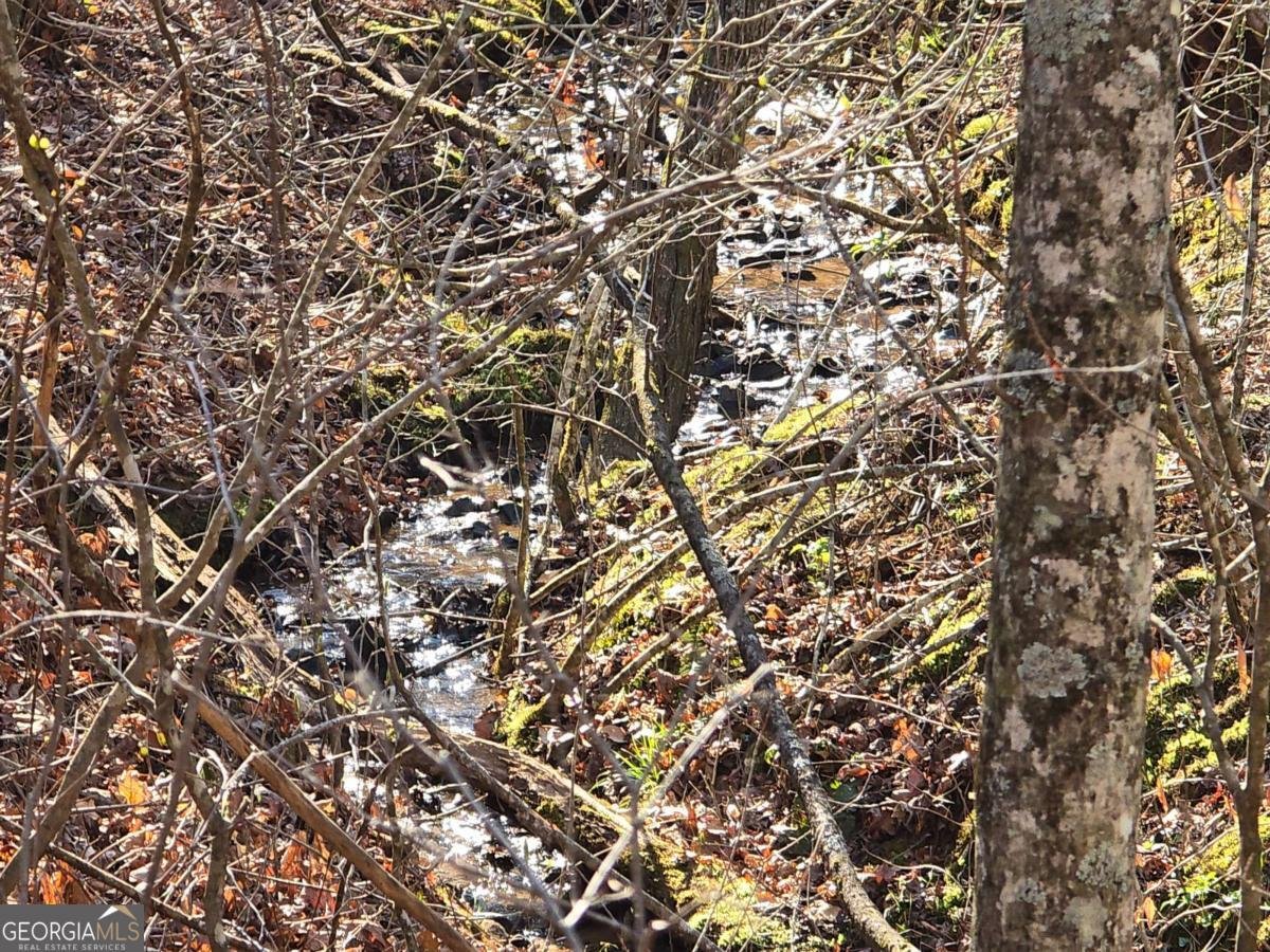 120 Claw Run Murphy - Photo 37