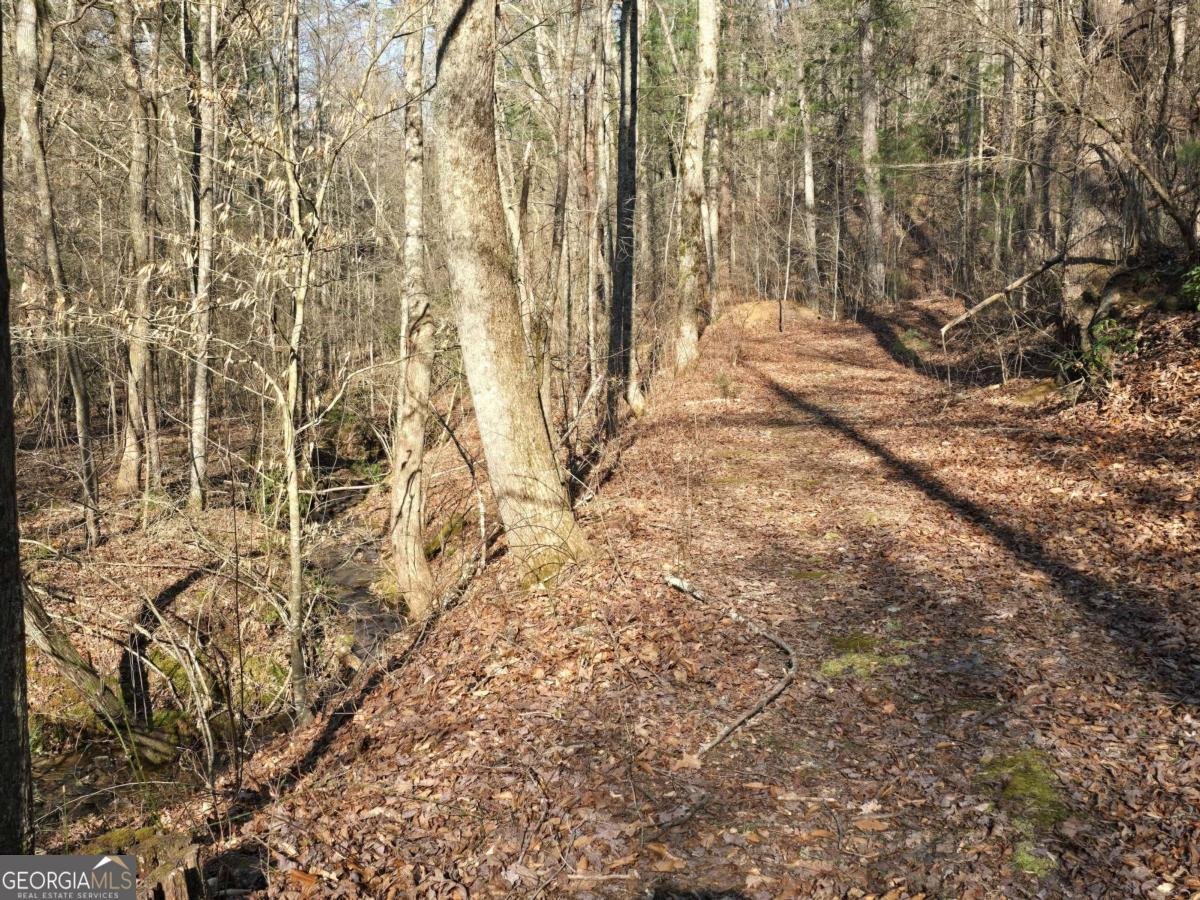 120 Claw Run Murphy - Photo 38