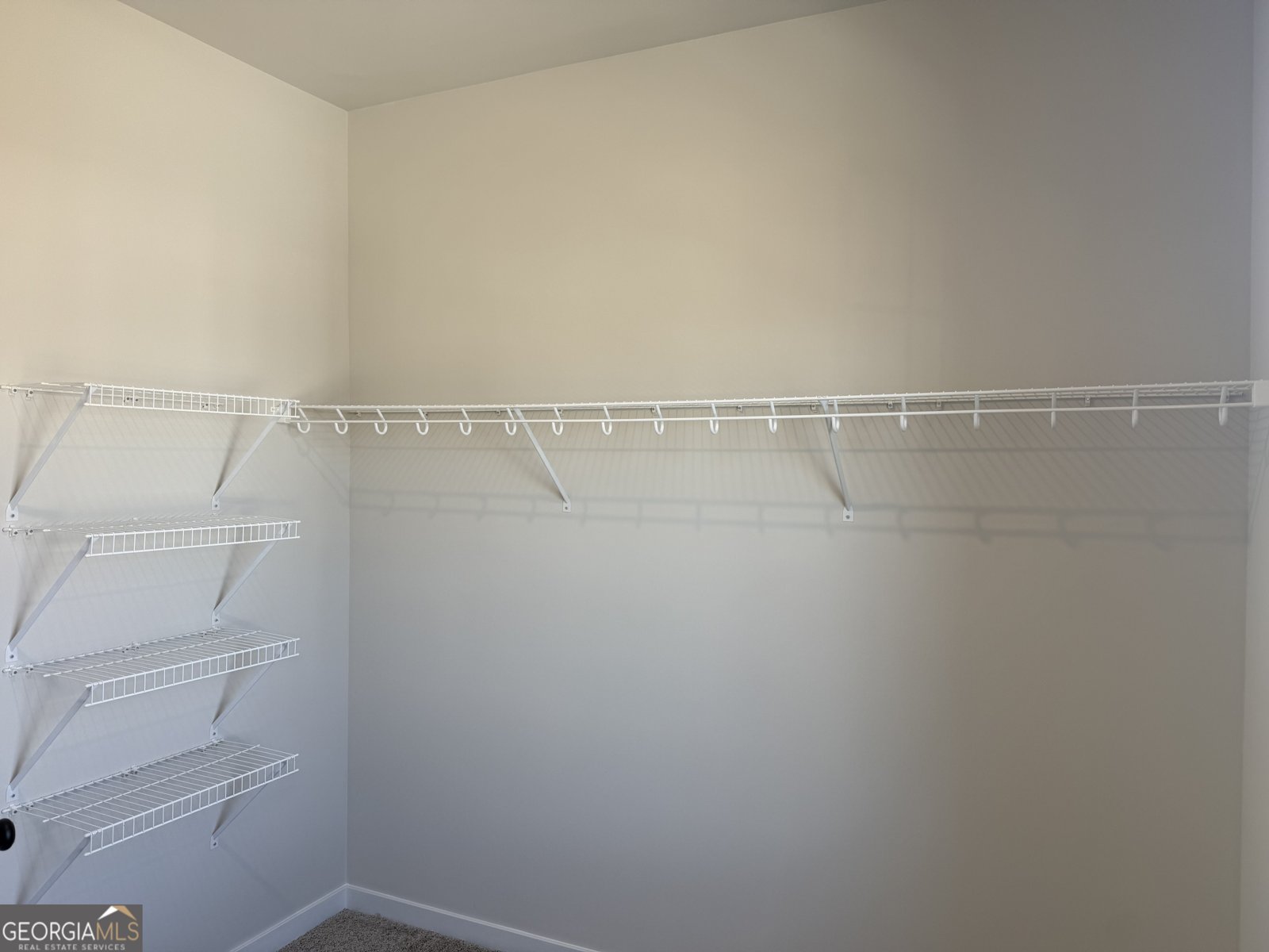 383 Scarlett Rose Way Hoschton - Photo 27