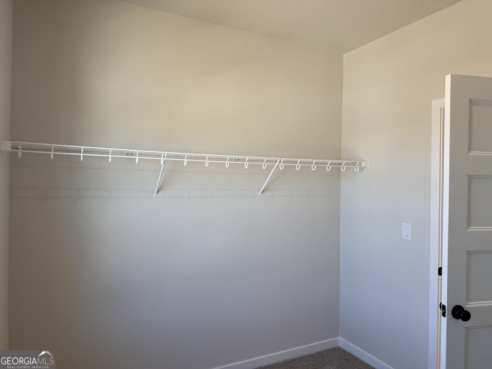 383 Scarlett Rose Way Hoschton - Photo 28