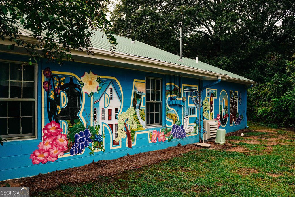 383 Scarlett Rose Way Hoschton - Photo 71