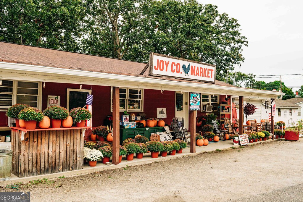 383 Scarlett Rose Way Hoschton - Photo 75