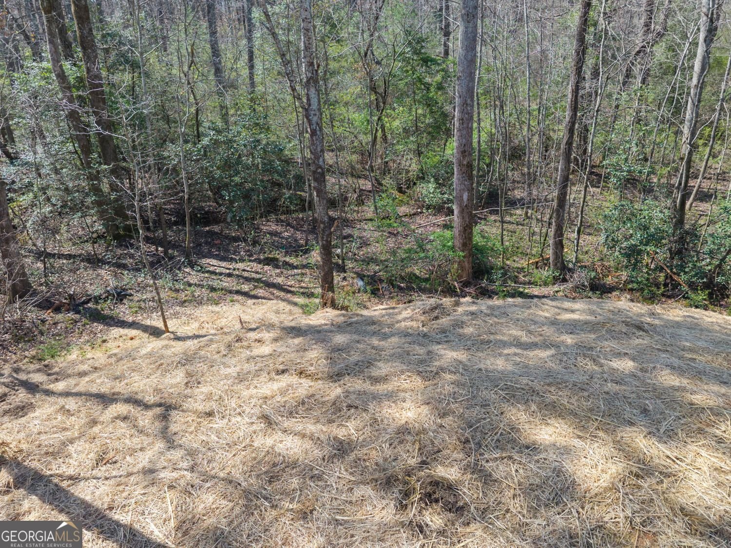 769 Dawn Place Alto - Photo 39