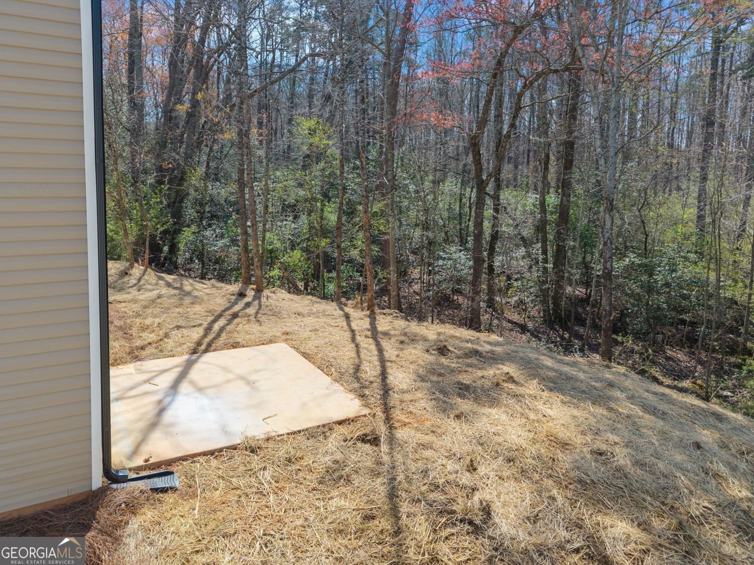 769 Dawn Place Alto - Photo 40