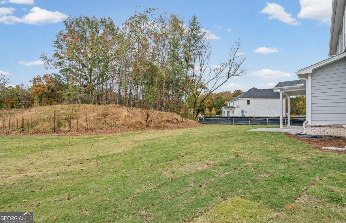 4810 Rosarian Drive Cumming - Photo 41