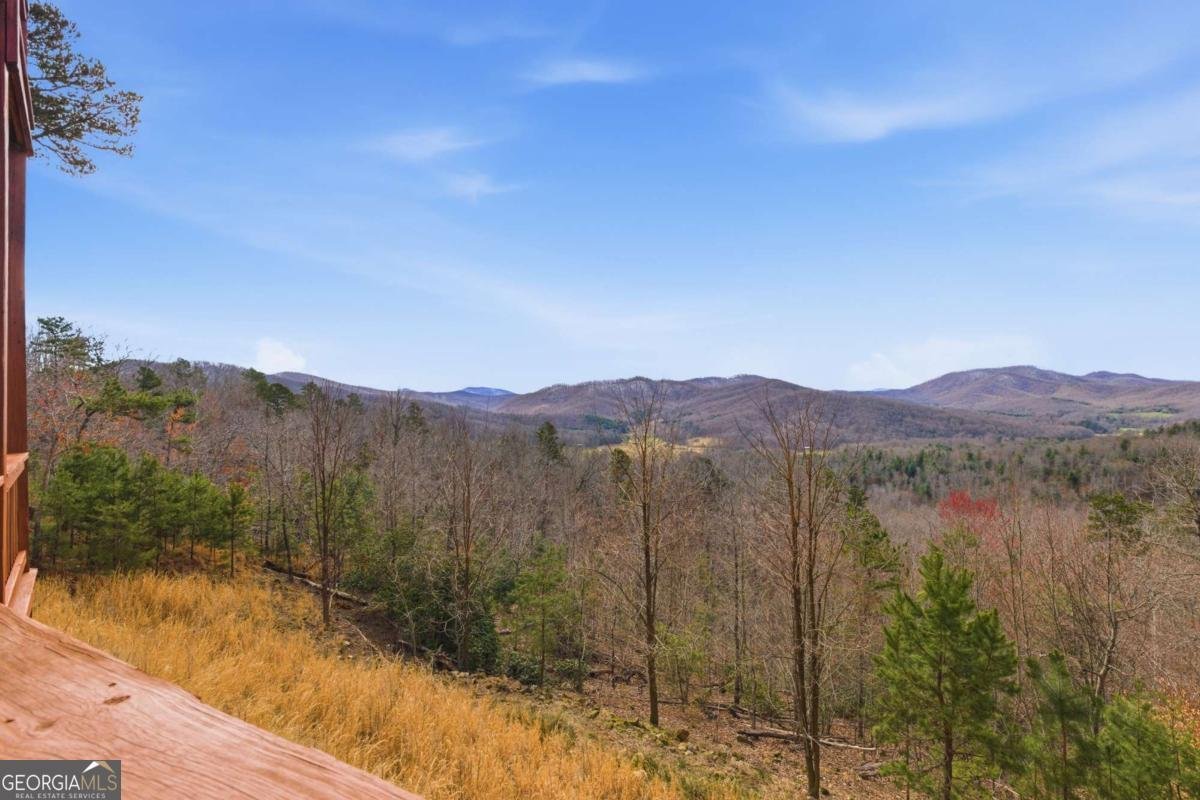 33 Stanley Ridge Drive Morganton - Photo 58