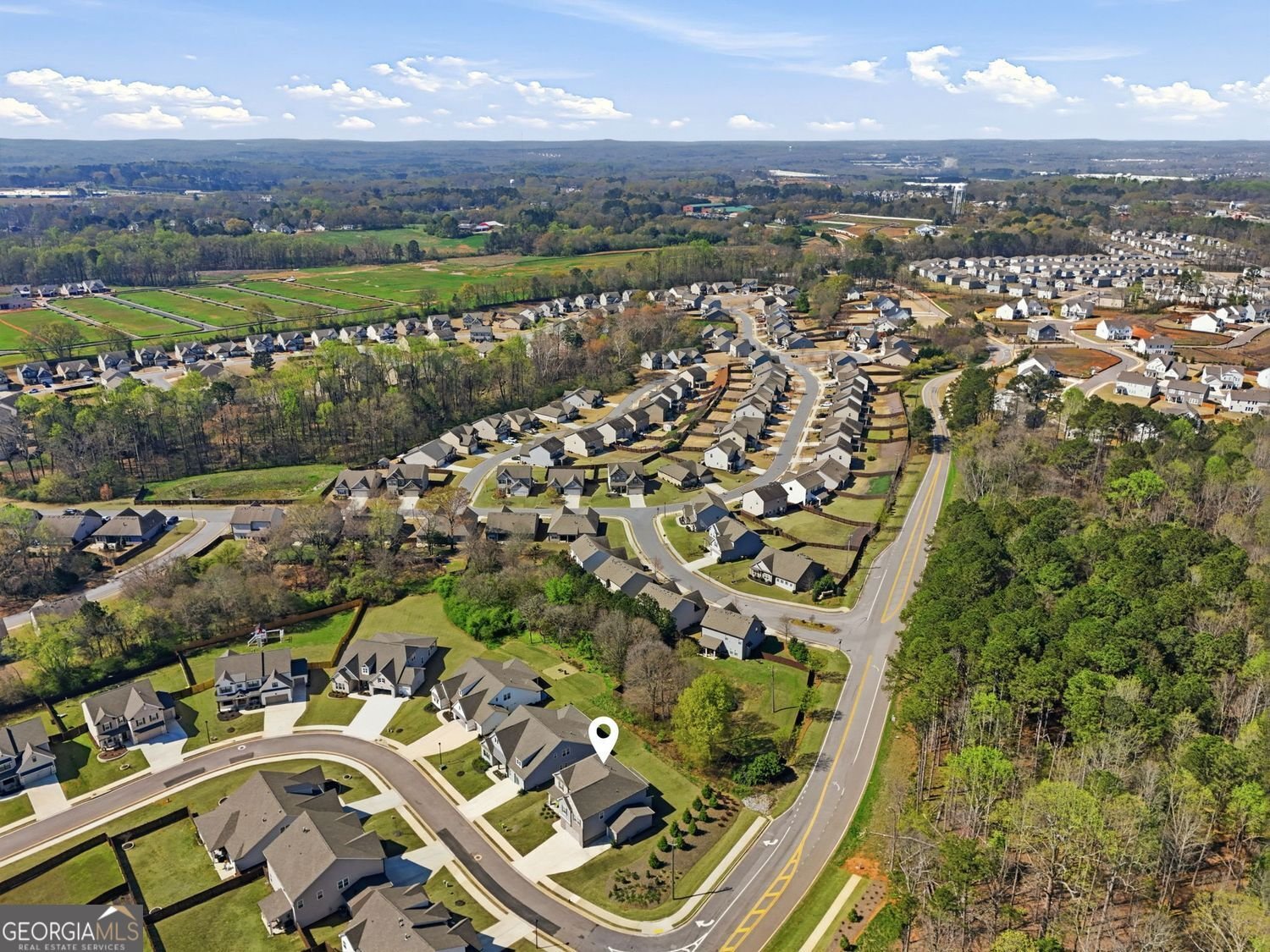 22 Winding Rose Drive Hoschton - Photo 6