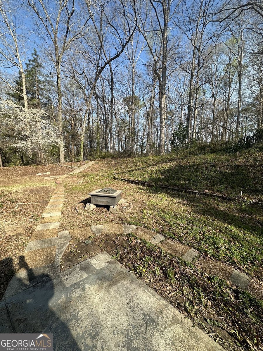 3238 Herrenhut Road Lithonia - Photo 34