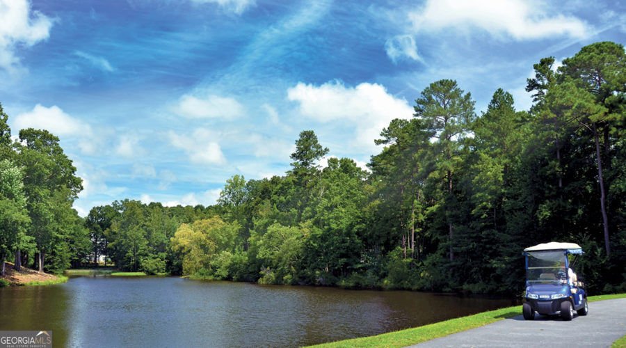 205 Palette Lane Peachtree City - Photo 82