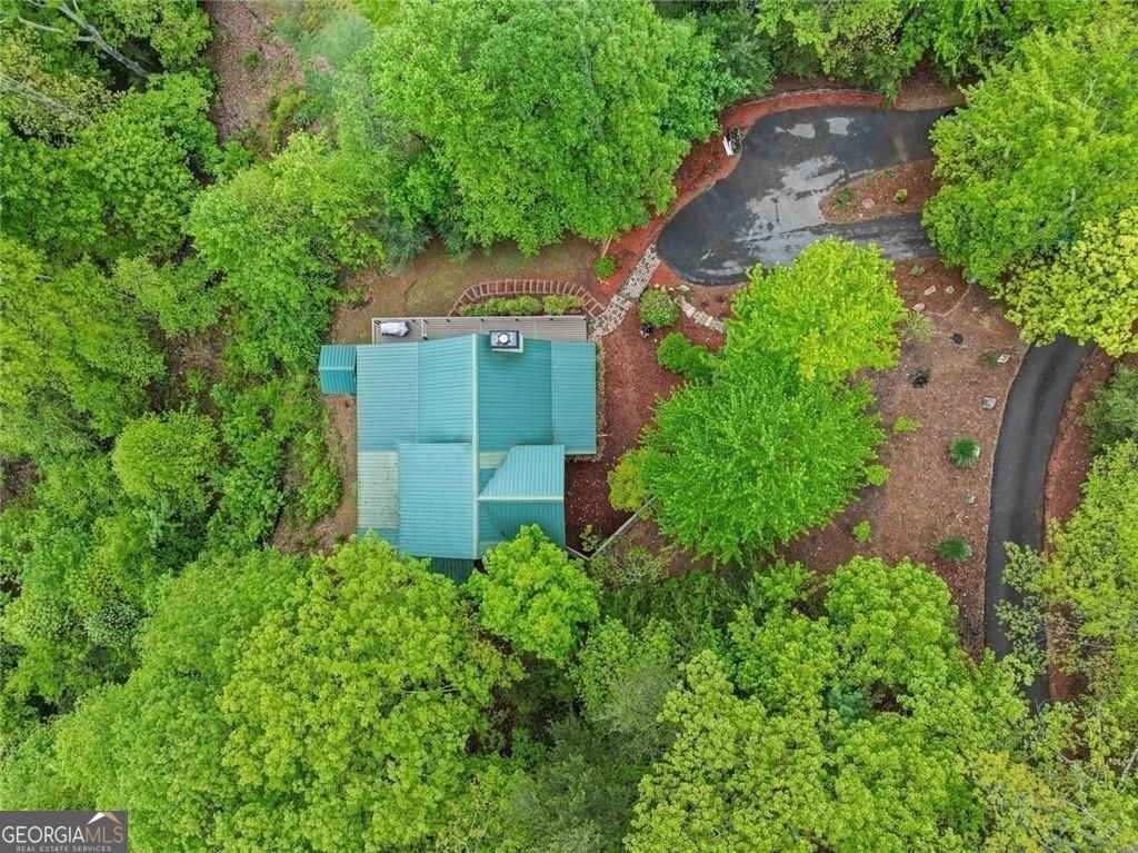 399 Ranch Mountain Drive Dahlonega - Photo 40