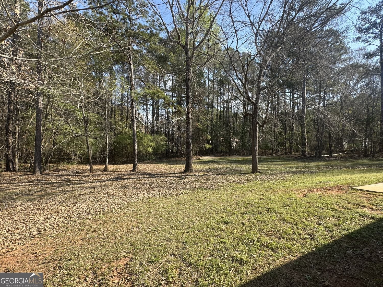 2587 Kelleytown Road McDonough - Photo 19