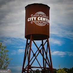 2680 Beech Mill Way Cumming - Photo 94