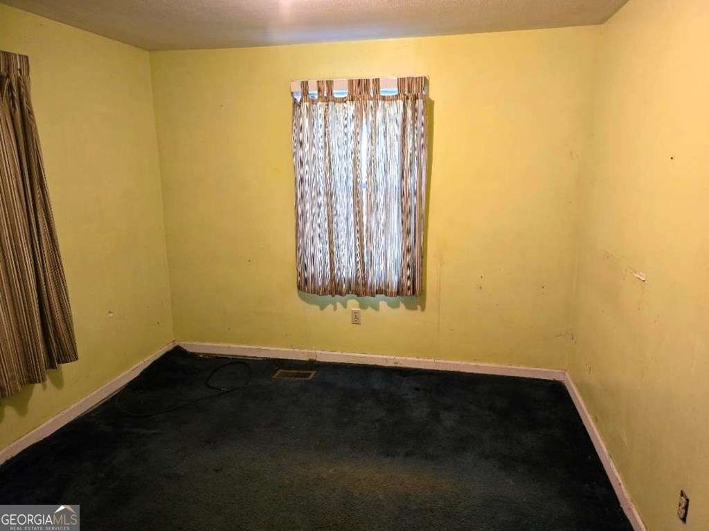 358 Camp Brooklyn Road Fitzgerald - Photo 10