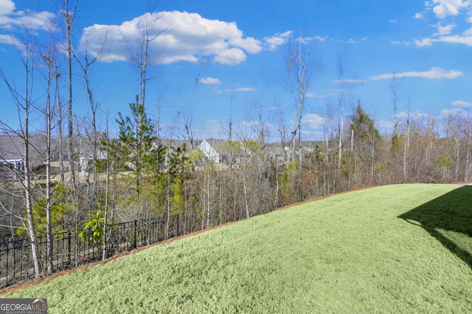 141 Marigold Court Griffin - Photo 35