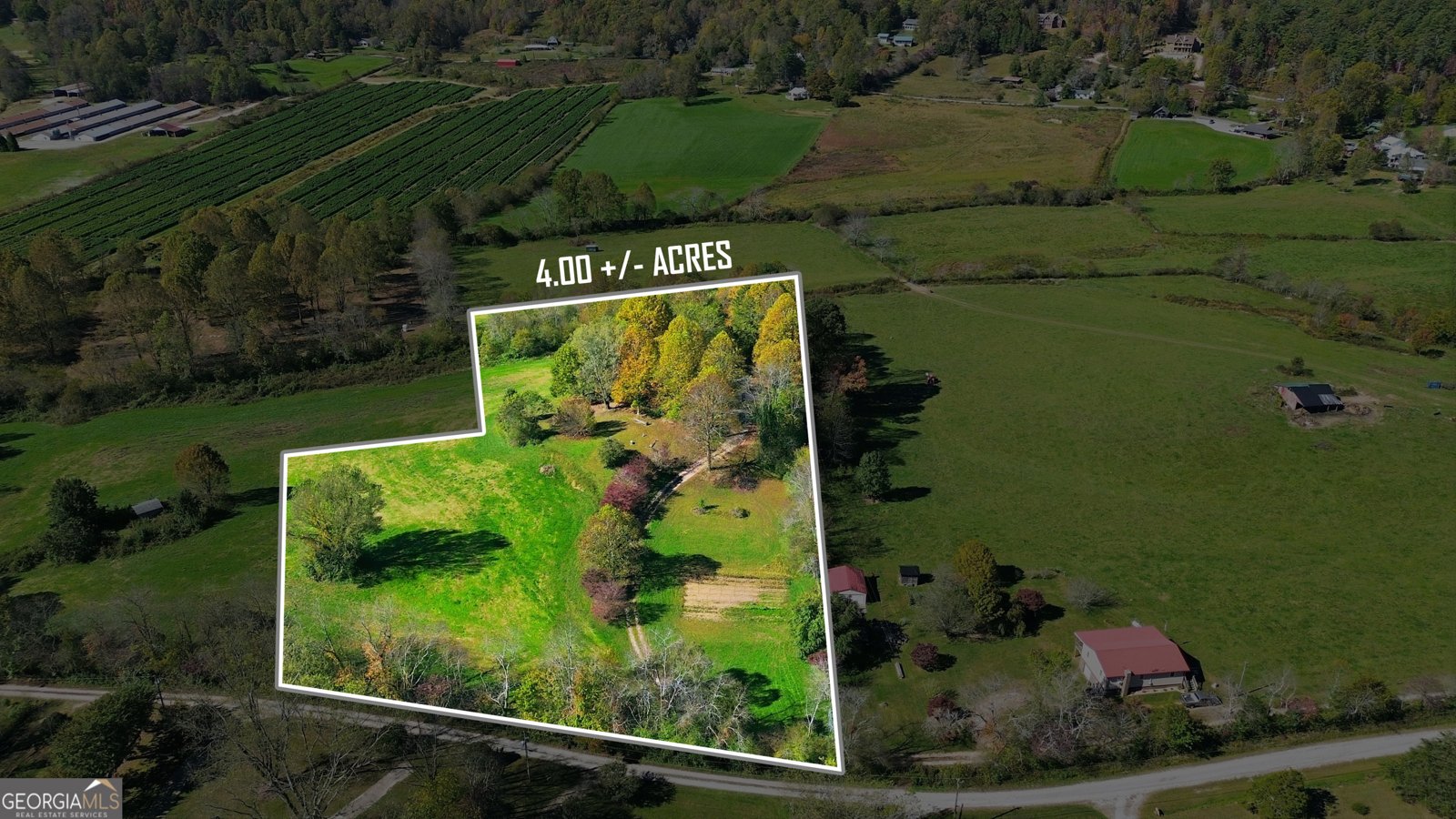 230 Majors Lane Rabun Gap - Photo 13