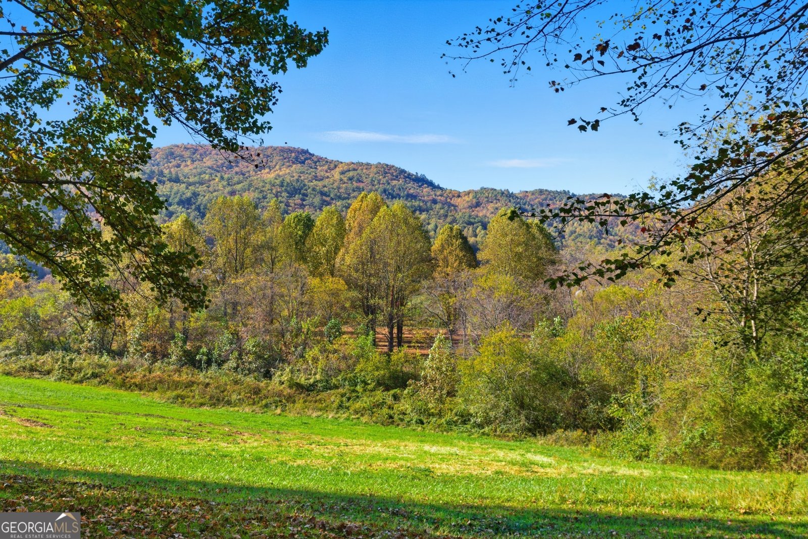 230 Majors Lane Rabun Gap - Photo 16