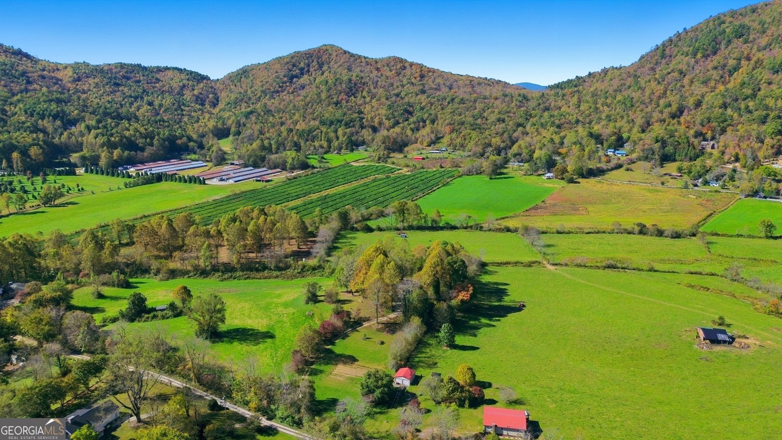 230 Majors Lane Rabun Gap - Photo 49