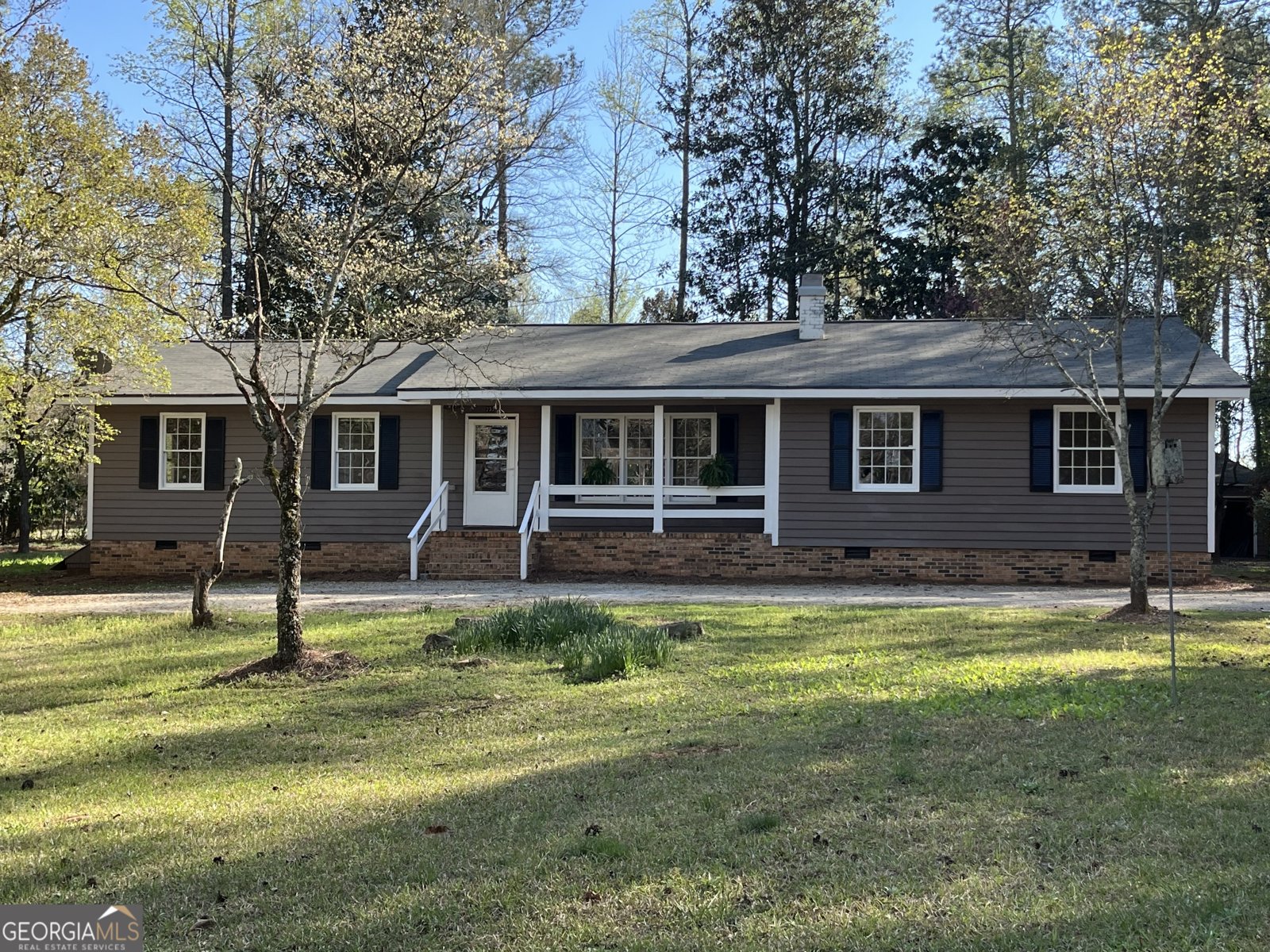 233 George Coggin Road Newnan - Photo 1