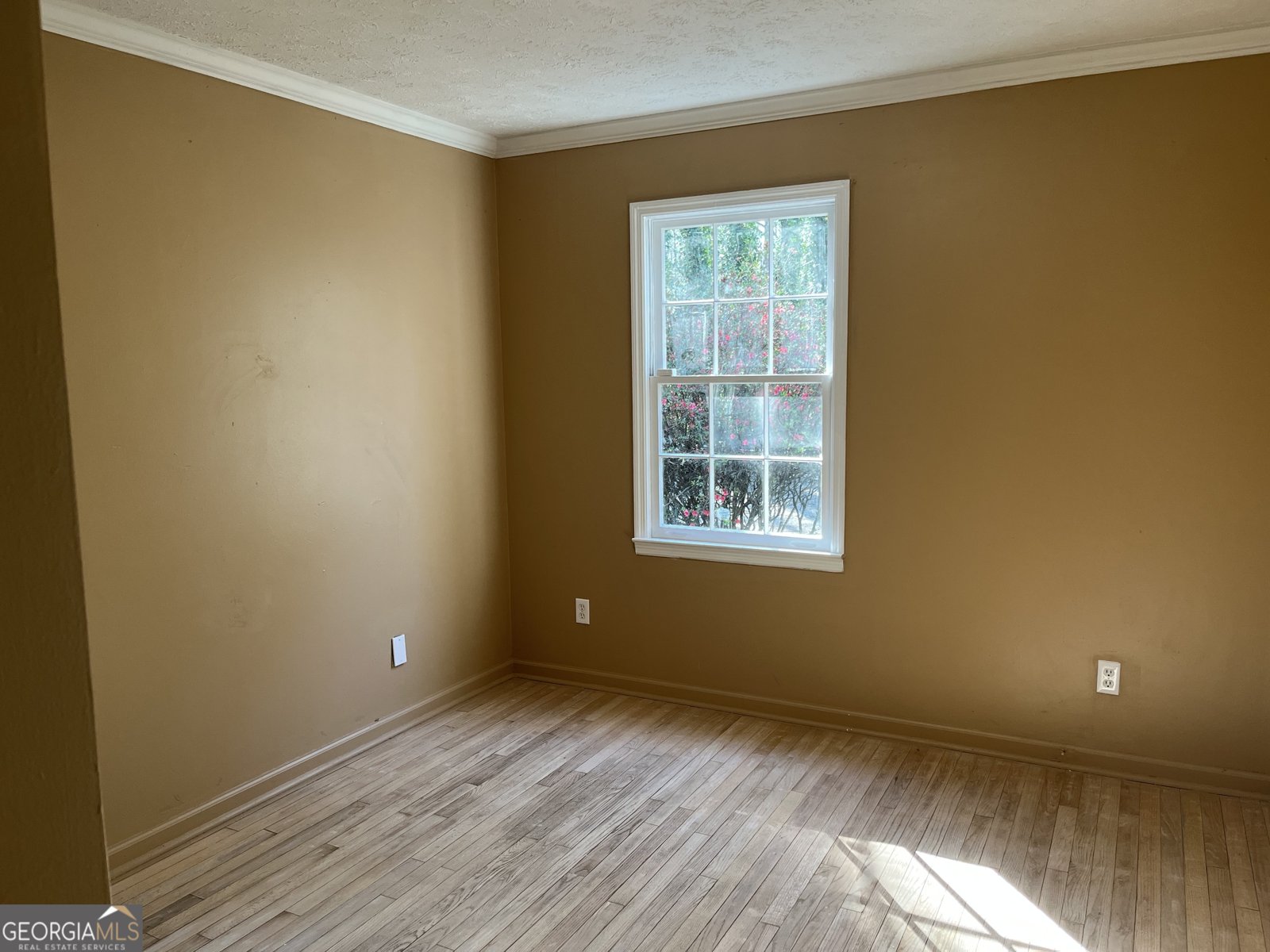 233 George Coggin Road Newnan - Photo 16