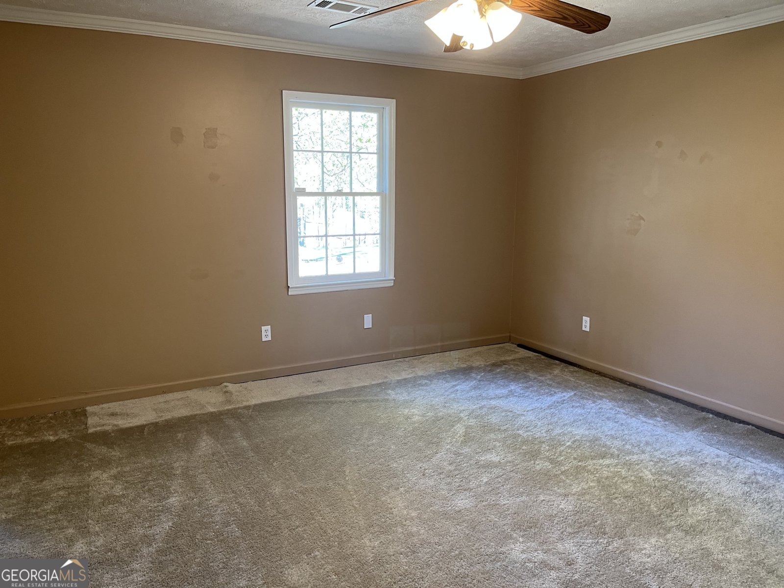 233 George Coggin Road Newnan - Photo 17