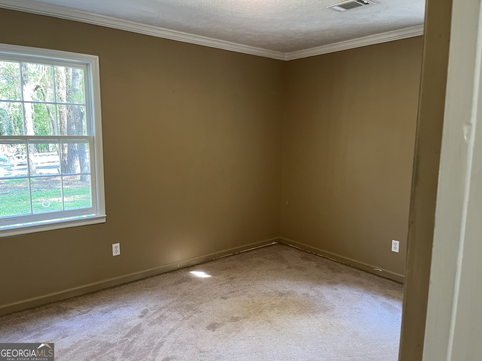 233 George Coggin Road Newnan - Photo 18