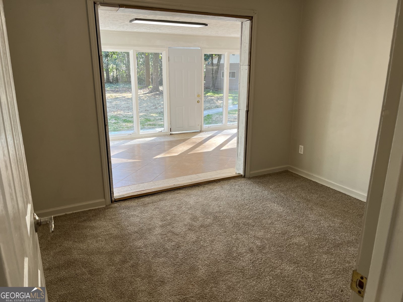 233 George Coggin Road Newnan - Photo 21