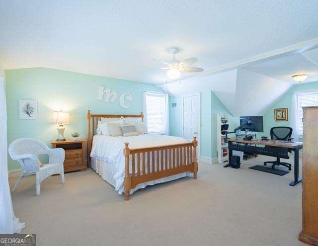 225 Meadowlark Lane Fitzgerald - Photo 21