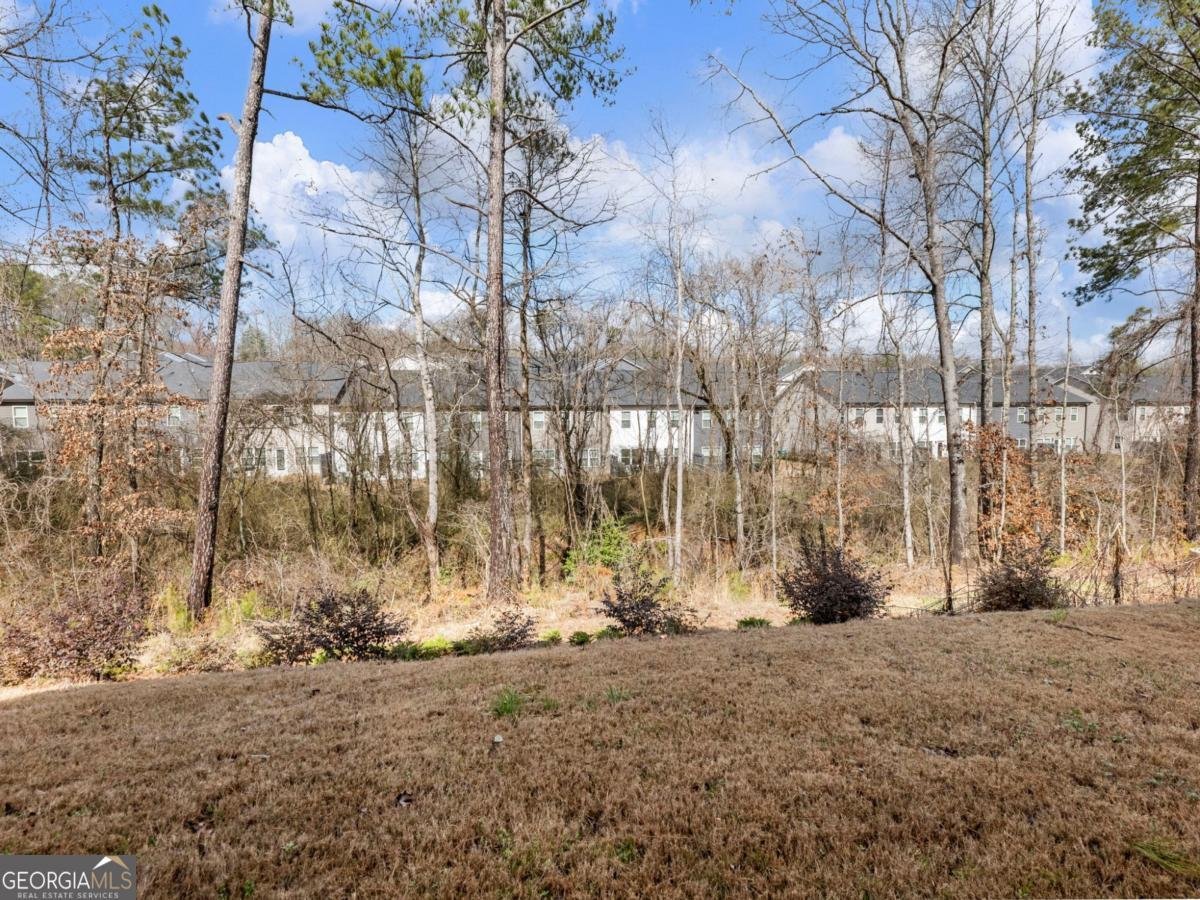 680 Groover Street Ball Ground - Photo 41