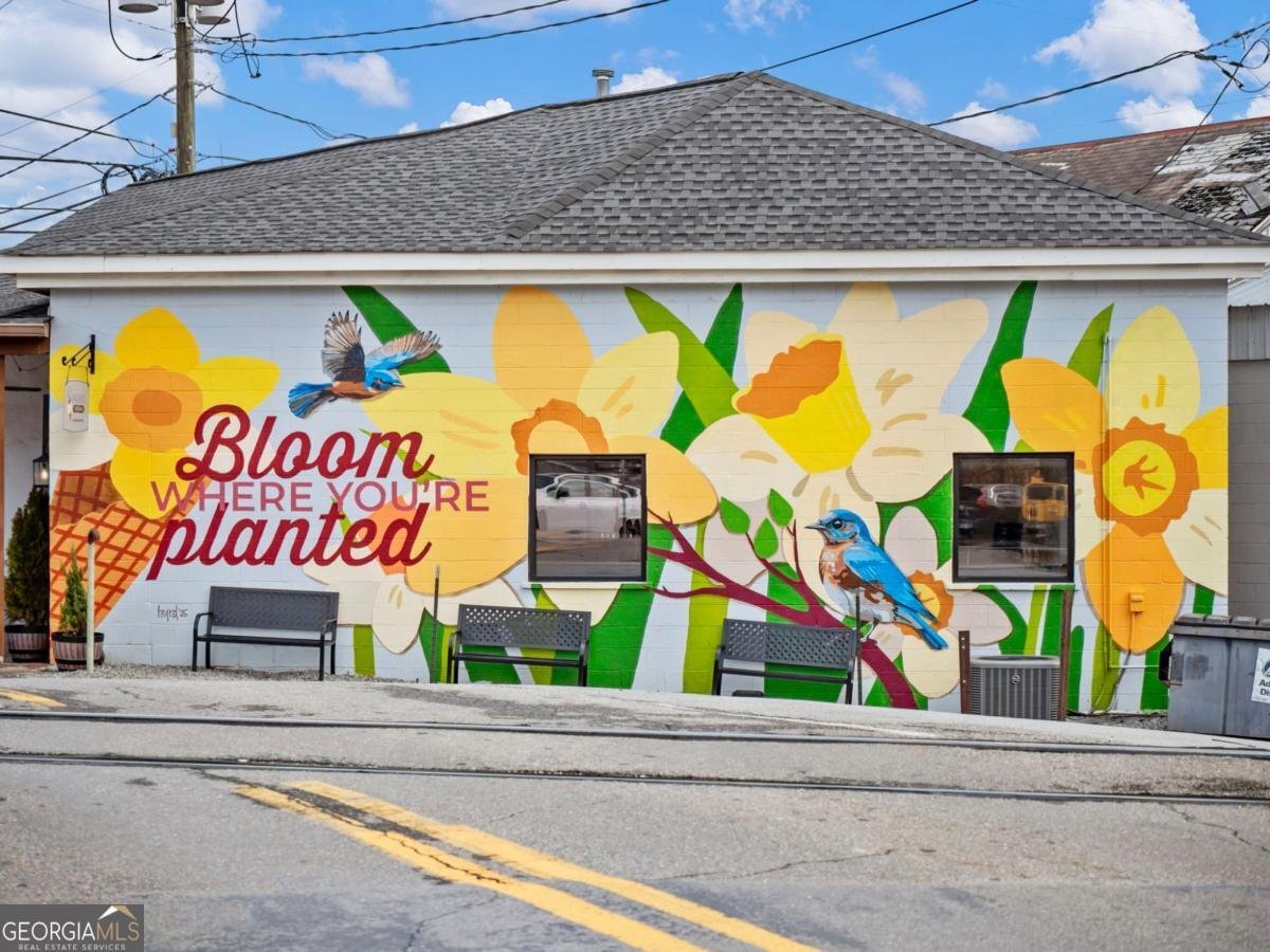 680 Groover Street Ball Ground - Photo 61