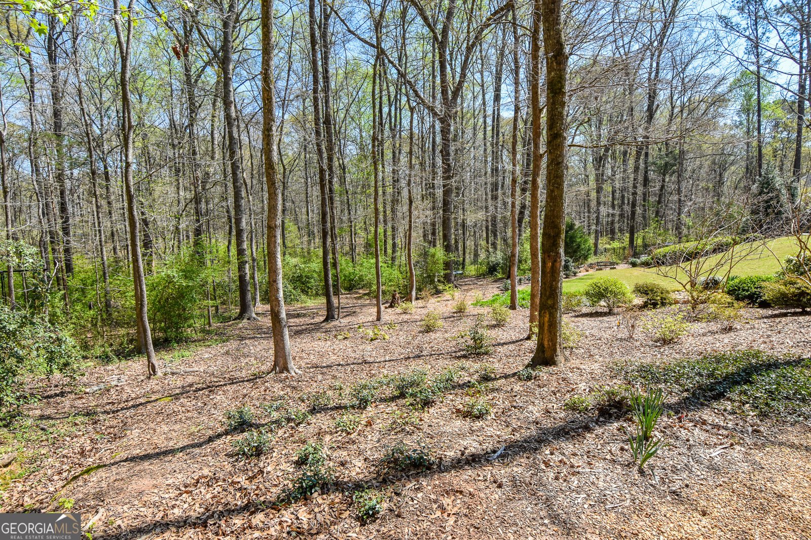 397 Oak Grove Path Griffin - Photo 80