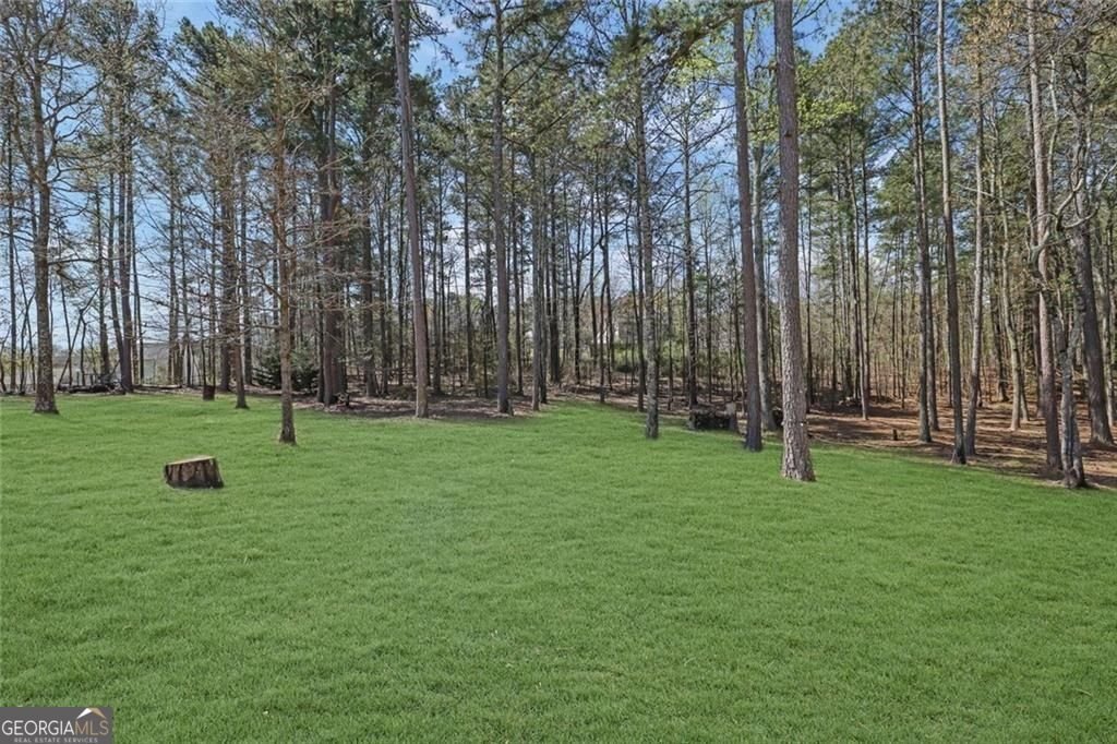 276 Boulder View Parkway Dallas - Photo 48