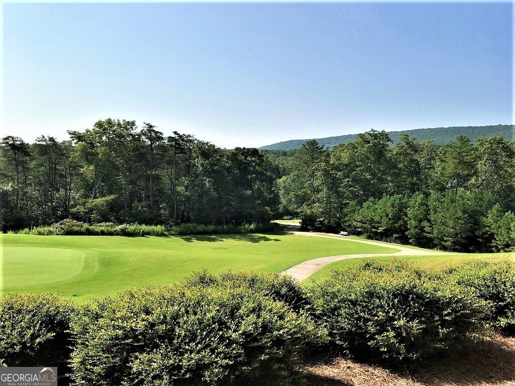 126 Elder Court Waleska - Photo 16