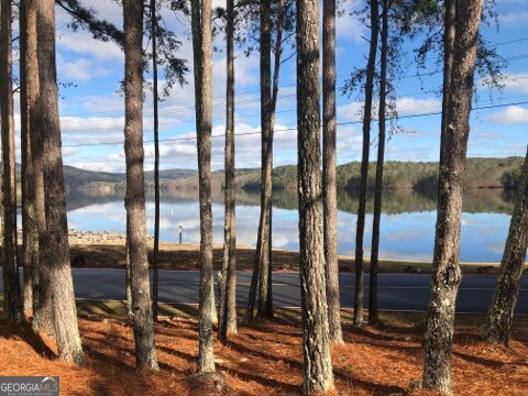 126 Elder Court Waleska - Photo 17