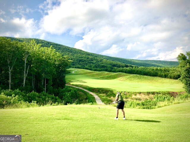 126 Elder Court Waleska - Photo 22