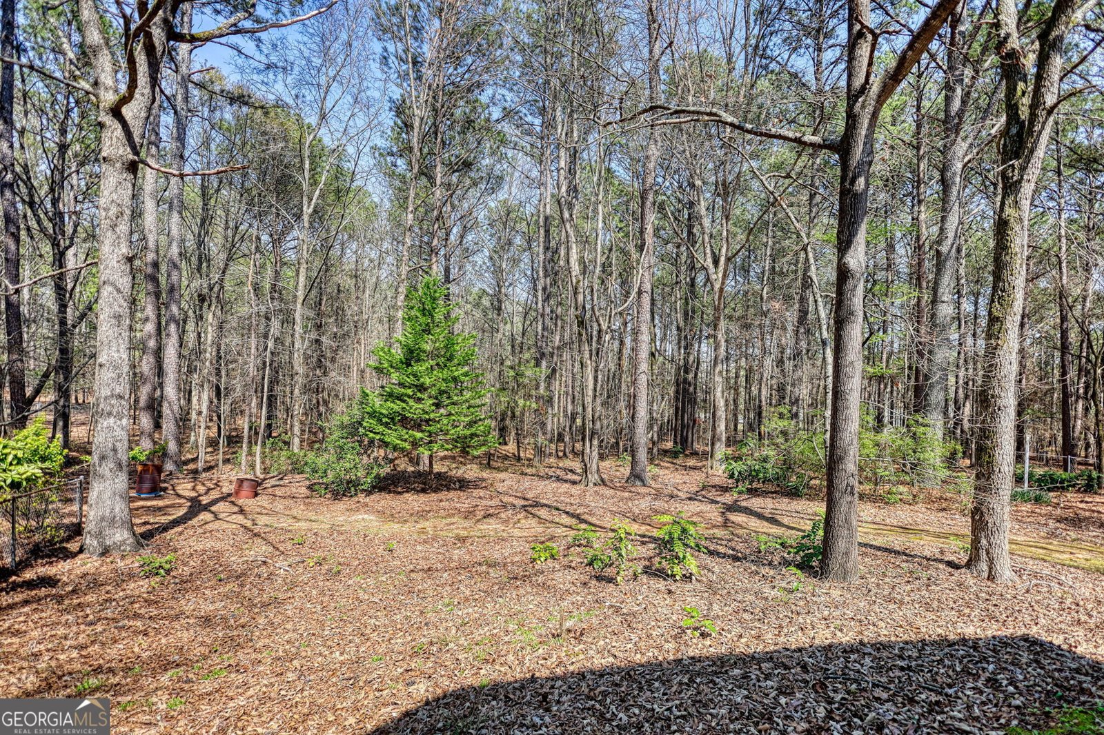 2740 Dennard Road Conyers - Photo 45