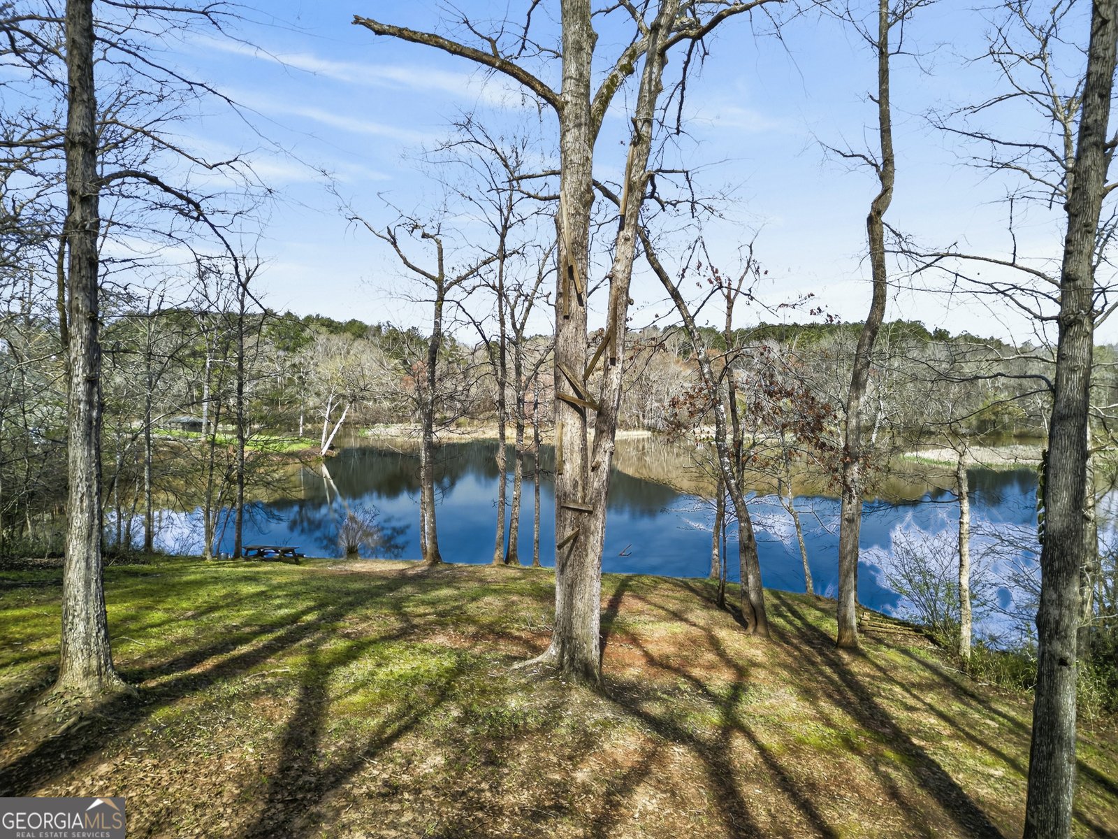 163 Edgewater Drive Eatonton - Photo 8