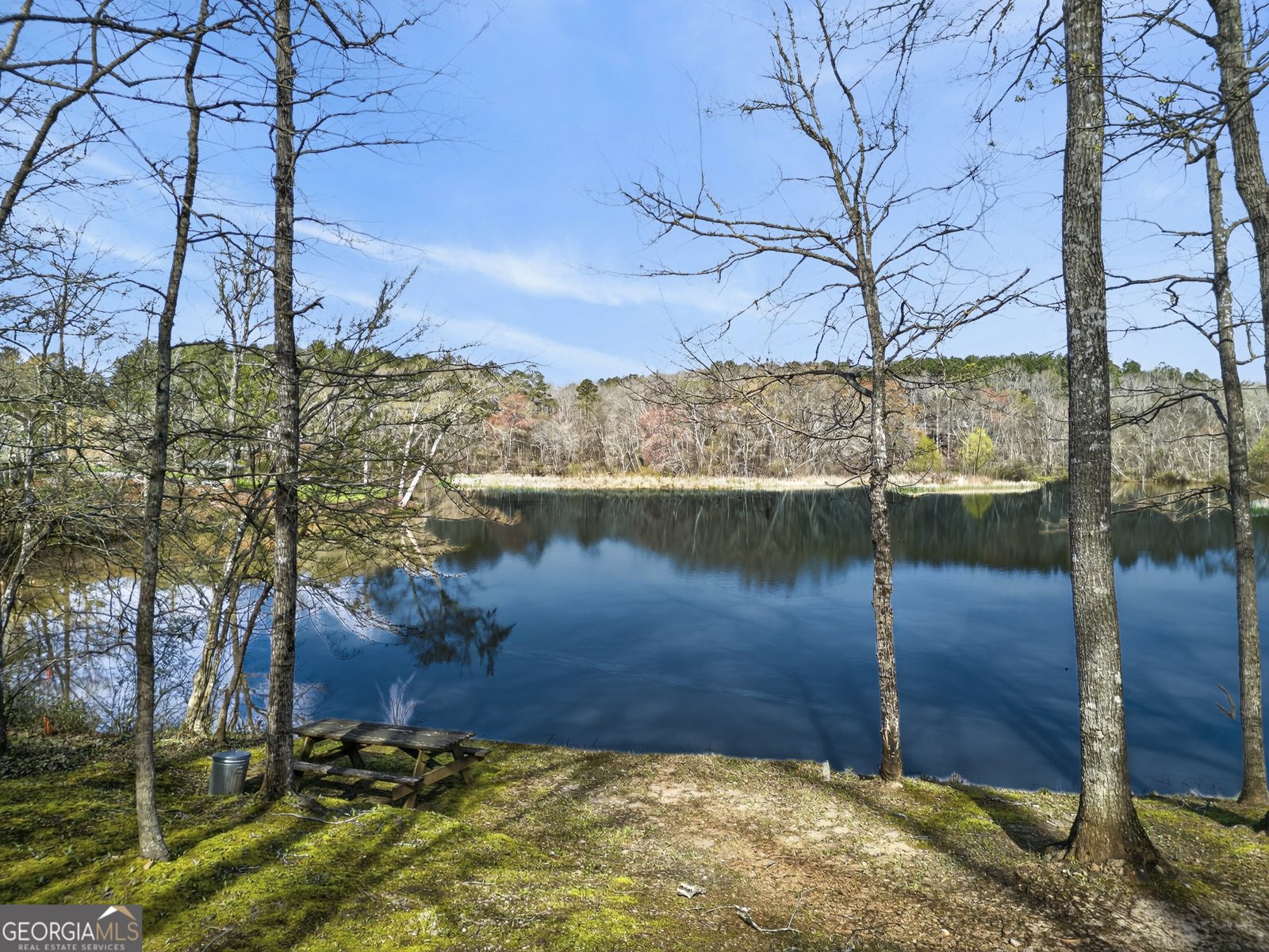 163 Edgewater Drive Eatonton - Photo 9